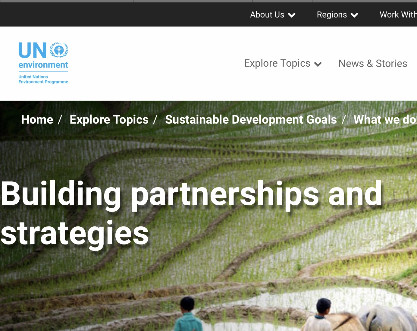 Partnership/ United Nations