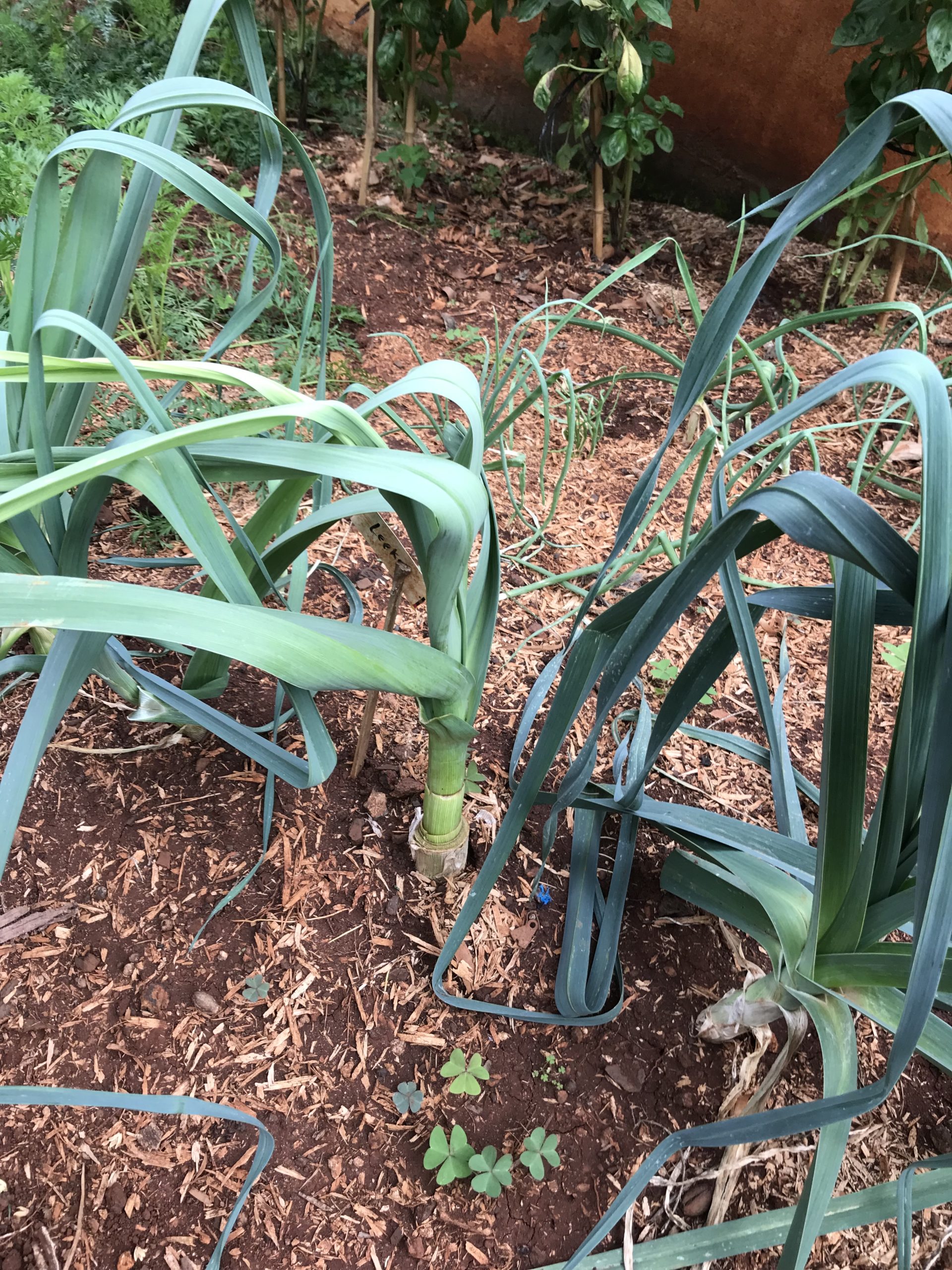 Horticulture Network
