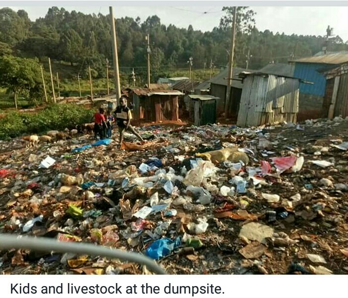 Karura Forest – Huruma Village Belt