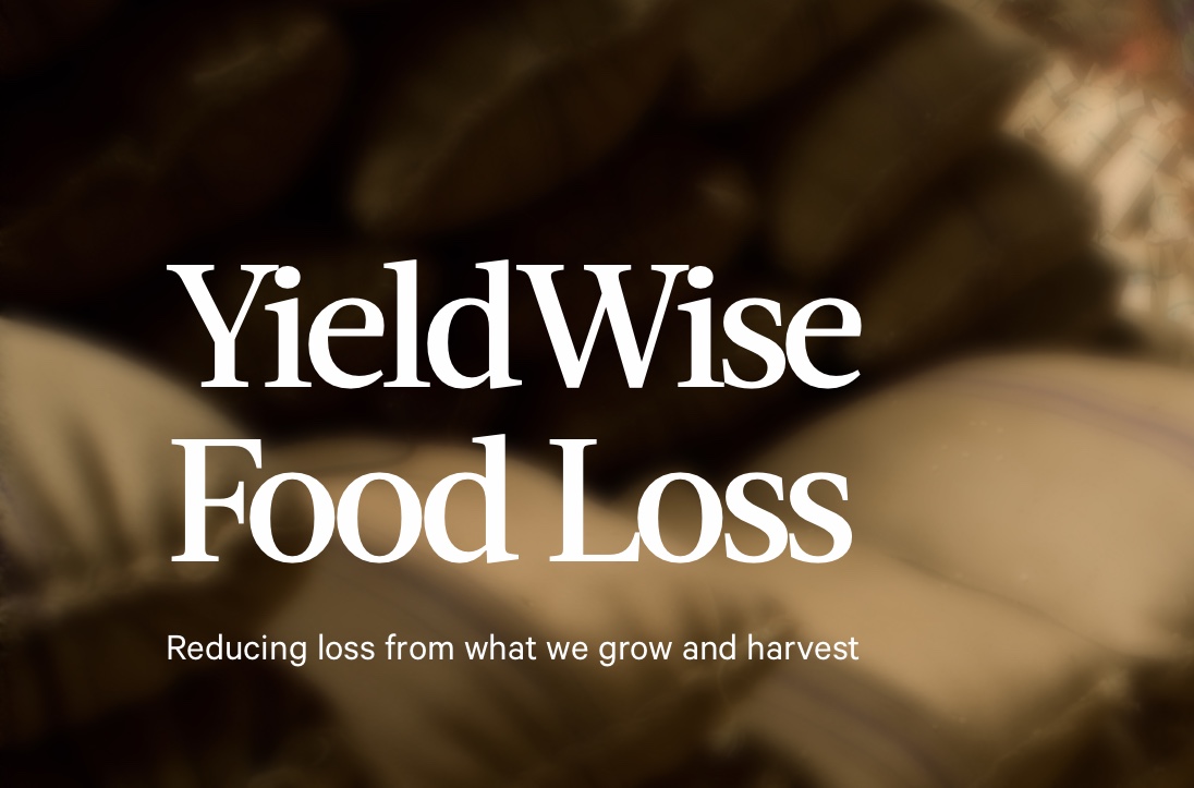 YieldWise Food Waste
