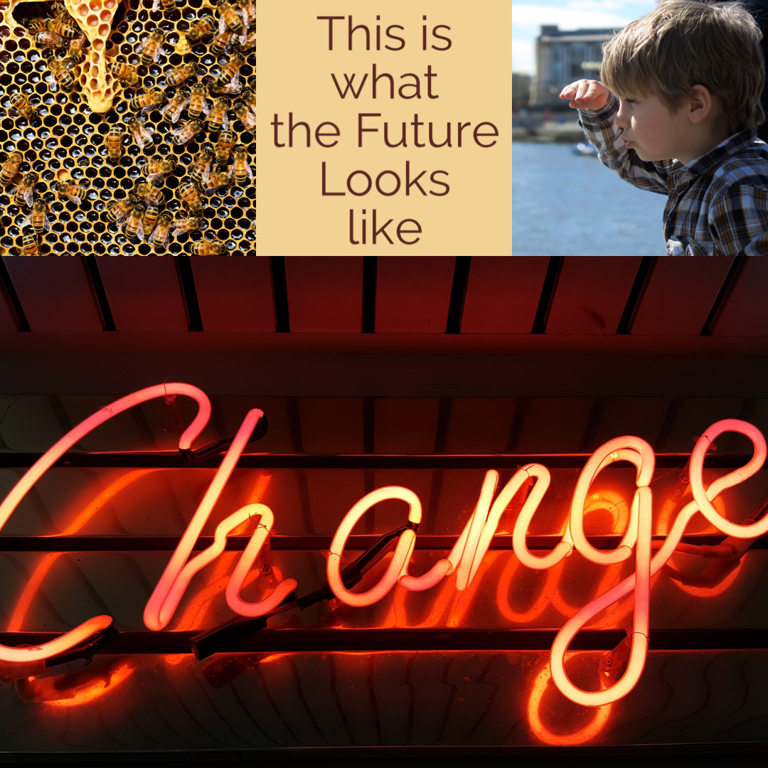 This Is what the Future Looks Like